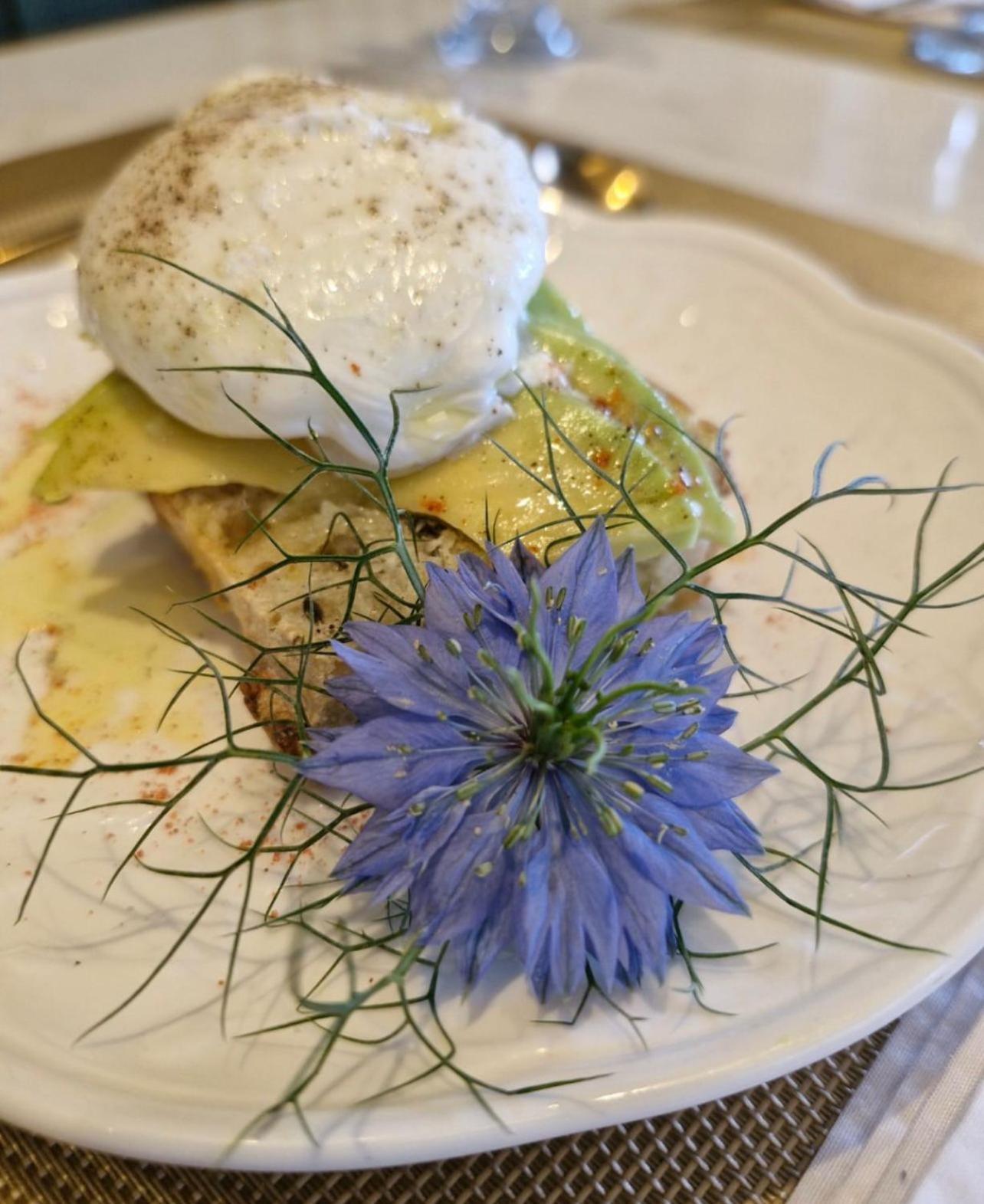 Blumen Hotel Boutique Канела Екстер'єр фото